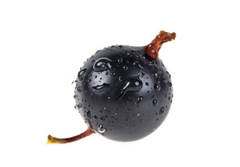 Berry of black currant on a white background