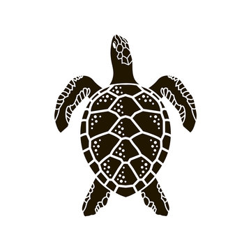 black sea turtle icon isolated on white background