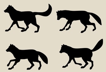 Set of Vector silhouettes of wolves, isolated on white