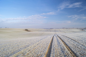 Fototapeta na wymiar Winter panorama of fields, blue sky, frosted field