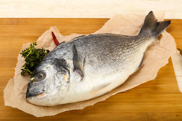 raw dorada fish