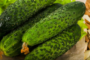 Green cucumbers