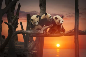 Zelfklevend Fotobehang Big panda © Aliaksei
