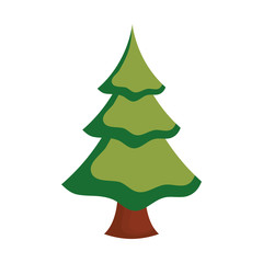 pine tree icon over white background vector illustration
