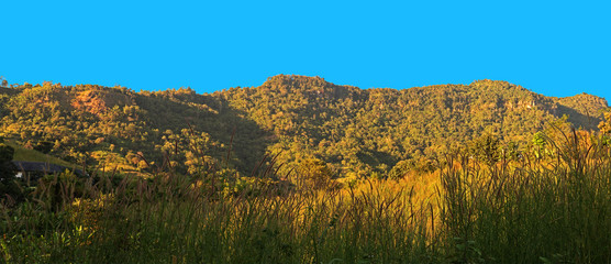 Panorama View of Mountain with Grass Foreground and Blue Sky