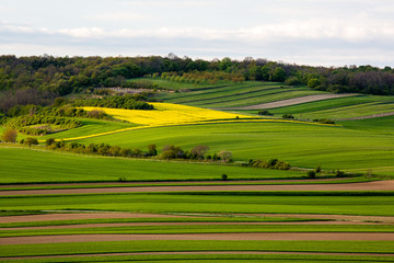Obraz premium Fields in Austria landscape in spring