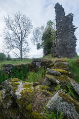 Fototapeta na wymiar Ruins of Ascog Castle