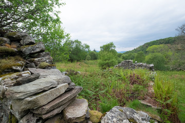Ruins at Glenan, Portavadie