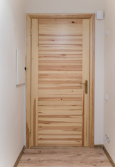 Wooden door in modern flat. Entrance.