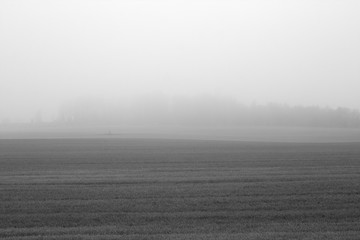 Fog and agriculture field in autumn in black and white