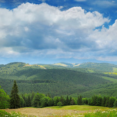 Fototapeta na wymiar mountains covered trees and blue sky