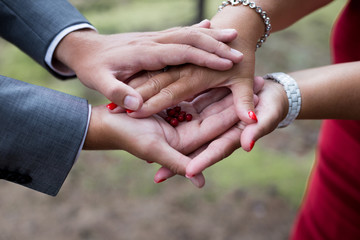 Close up outdoor shot of woman's and man's hands holding wild red berries fruit. Selective focus with shallow depth and blur green background. Mother with red nails gives her son fresh cranberries.