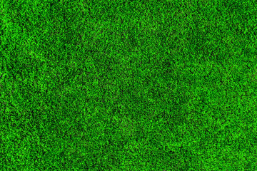 Close up green moss background