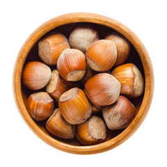 Cultivated hazelnuts in wooden bowl. Nuts of hazel, also cobnut or filbert nut. Edible, dried, brown, ripe seeds. Fruit of Corylus avellana. Macro food photo close up from above on white background.