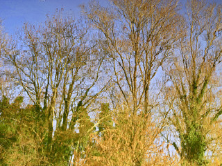 rreflejos en el agua en la zona del río , en Girona Cataluña España 
