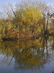 reflejos en el agua en la zona del río , en Girona Cataluña España 