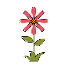 Beautiful flower symbol icon vector illustration graphic design