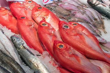 Red bream for sale at a market in Madrid