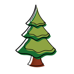 pine tree icon over white background vector illustration