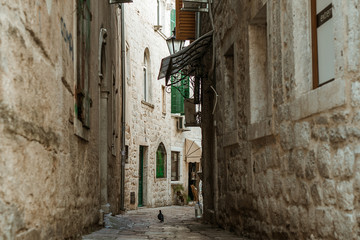 Narrow streets of old european city.