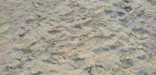 Sand Strand