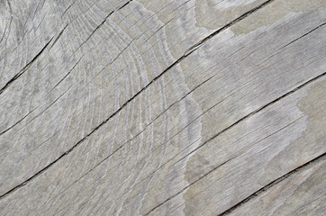 wood texture