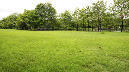 Green Park. Green Park in City at Sunset, exercise and relax