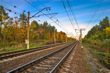Fototapeta premium Railway in autumn forest