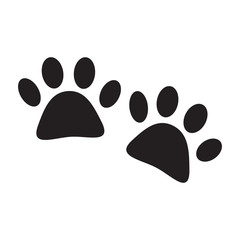 cat footprint