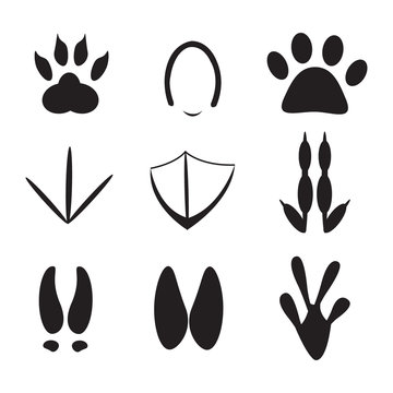 set of animal footprint