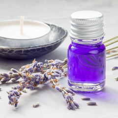Lavender oil in glass bottle with lavender flowers on background, square format