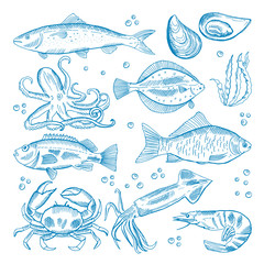  set of seafood