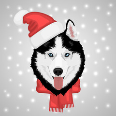 Dog portrait in a red Santa's hat. Black and white Siberian husky with blue eyes. Merry Christmas and Happy New Year. The dog is a symbol of 2018. Vector illustration © Sergey Bogdanov