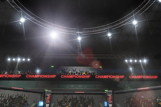 mma fighting stage side view under lights
