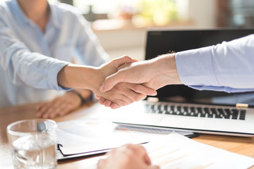 Business people shaking hands. Finishing up meeting.