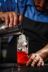 Barman preparing cocktail