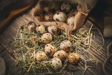 Some quail eggs