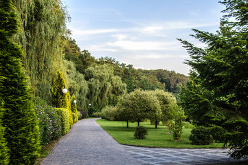 Green summer park zone