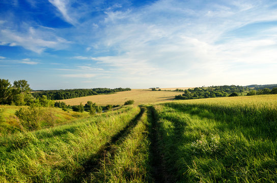 Sunny summer landscape with dirt rural road.Traveling through the countryside.Tula region,Russia 