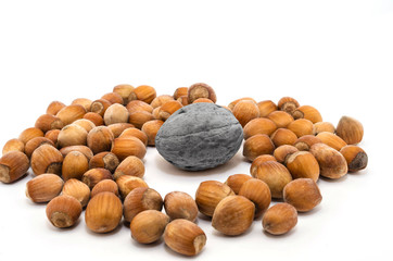 Hazelnut, hazelnuts, nuts on white background
