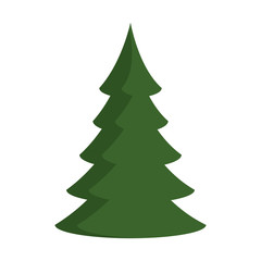 pine tree plant isolated icon vector illustration design