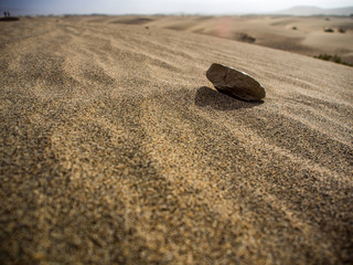 Fototapeta na wymiar Rock on Sand, Low Angle Close Up, Death Valley Sand Dunes