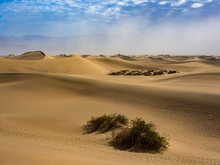 Fototapeta na wymiar Death Valley Mesquite Flats Dunes