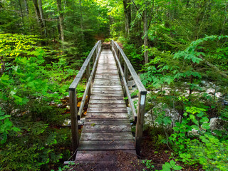 Wooden Bridge, Green Mountains Vermont, Appalachian Trail