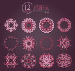 16 illustration of isolated set floral vector