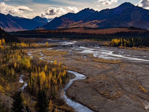 Denali National Park Teklanika River Valley