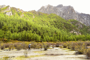 Tourists waiking to the mountains in Yading national reserve