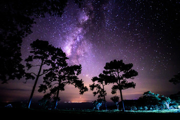 Naklejka na ściany i meble Night landscape with colorful Milky Way