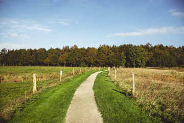 Fototapeta na wymiar Landscape Landschaft Weg