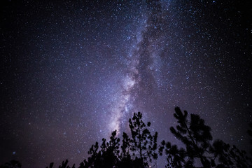 Night landscape with colorful Milky Way
